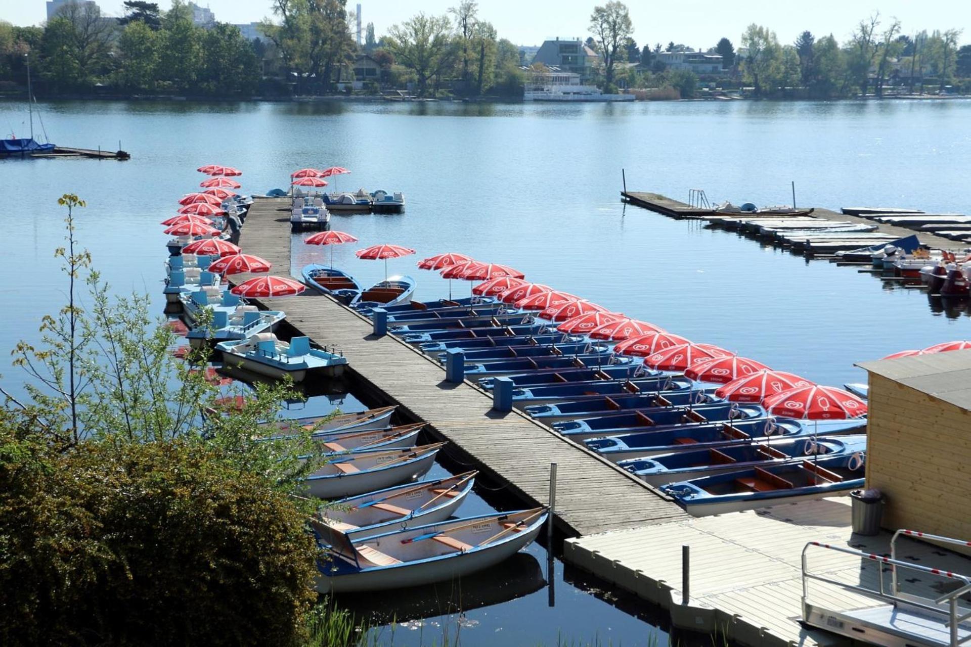 Ursula Rose Collection An Der Donau Daire Viyana Dış mekan fotoğraf